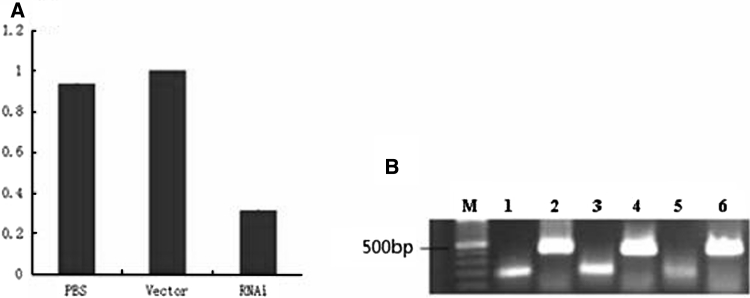 Fig. 9