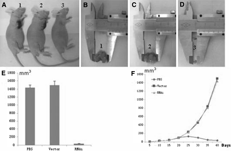 Fig. 8