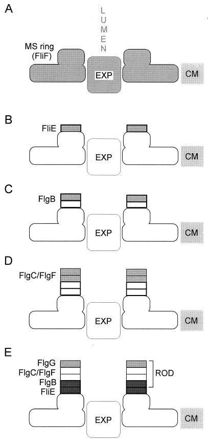 FIG. 6