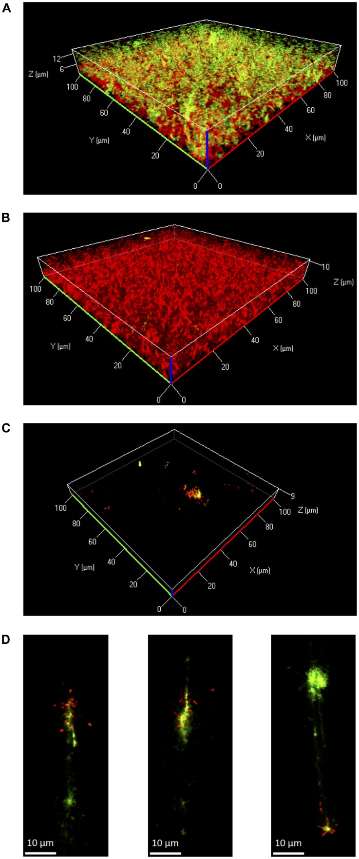 FIGURE 4