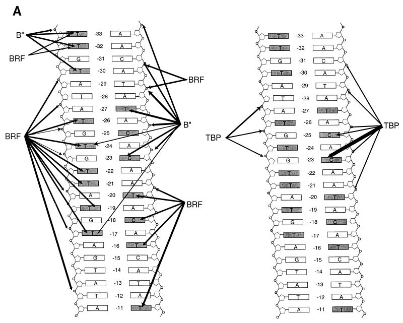 FIG. 6