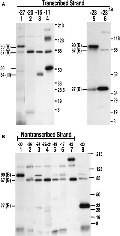 FIG. 5