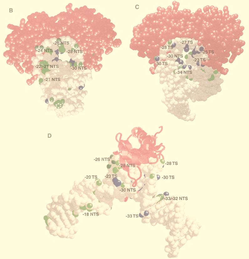 FIG. 6