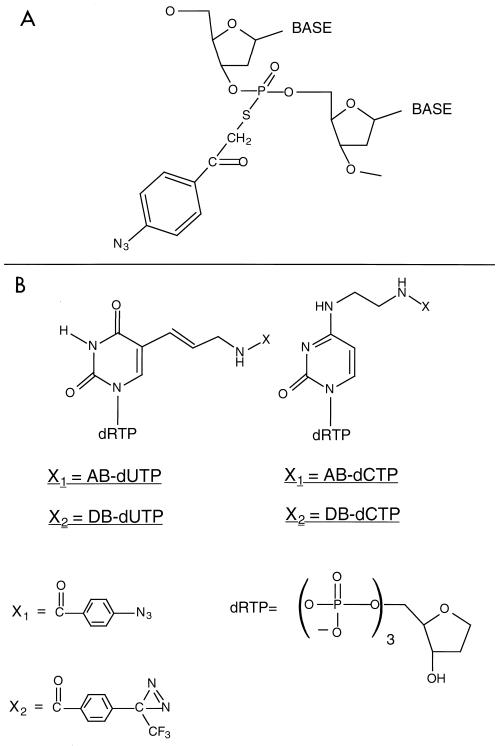 FIG. 1