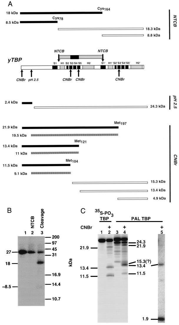 FIG. 7