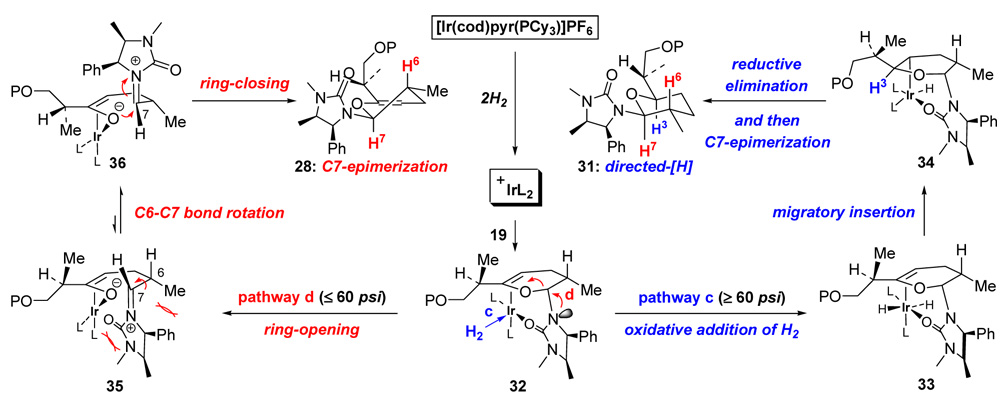 Scheme 12