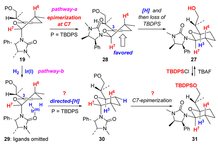 Scheme 9