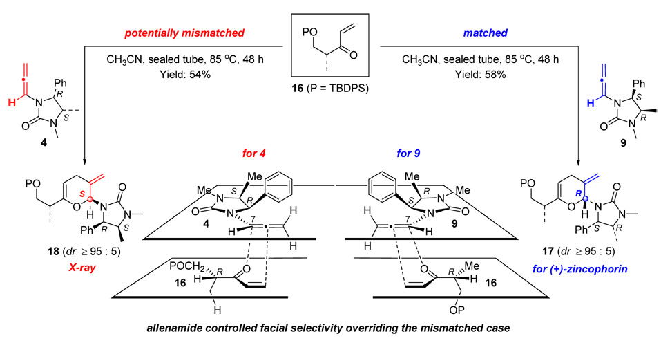 Scheme 5