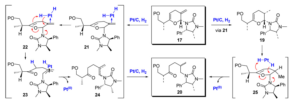 Scheme 7