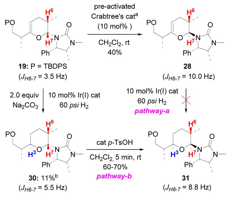 Scheme 10