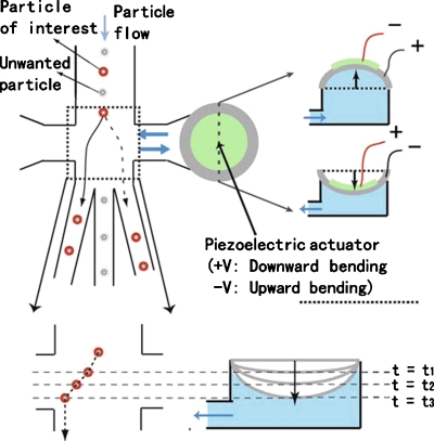 Figure 15