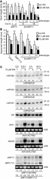Figure 6.