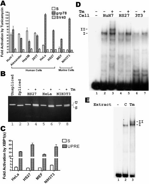 FIG. 8.