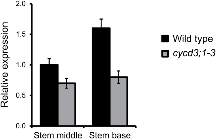 Fig. 5.