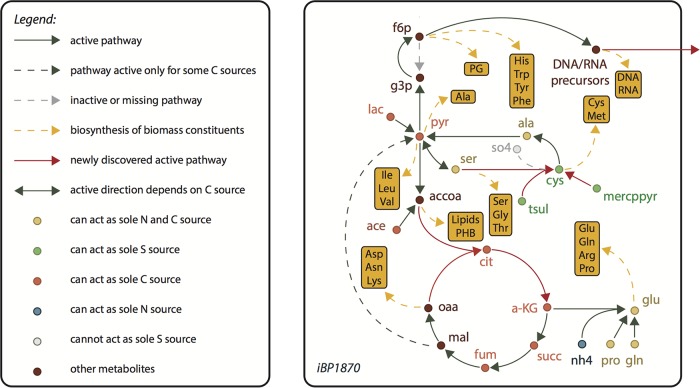 FIG 1