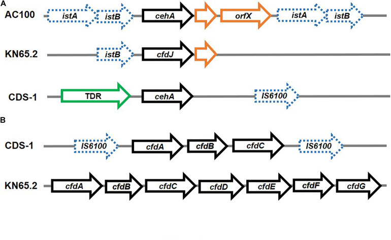 FIGURE 9