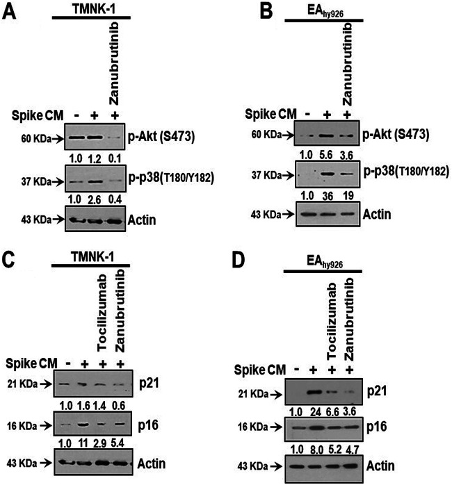 FIG 5