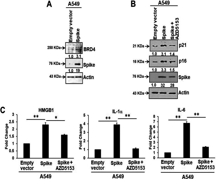 FIG 3