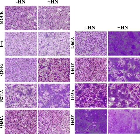 FIG. 2.