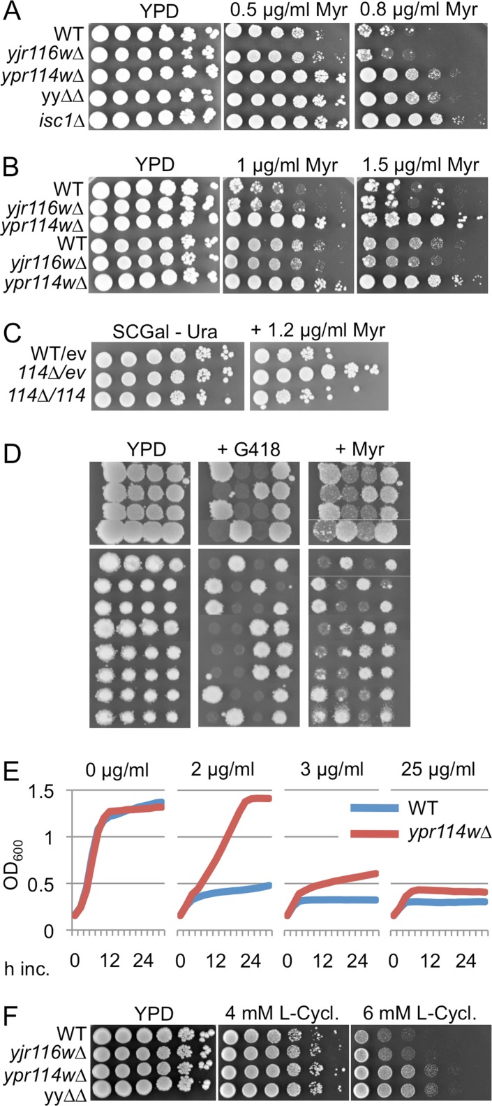 Fig 4