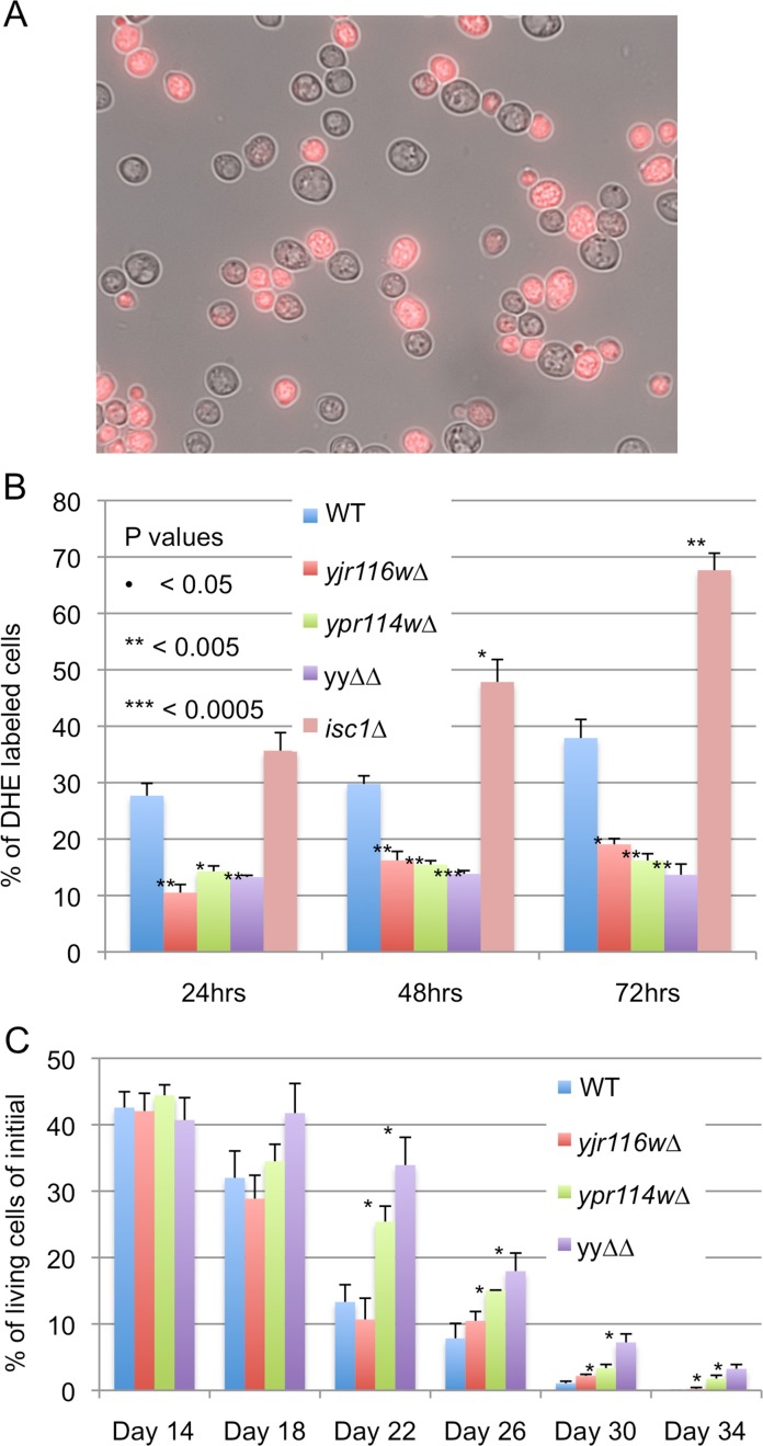 Fig 6