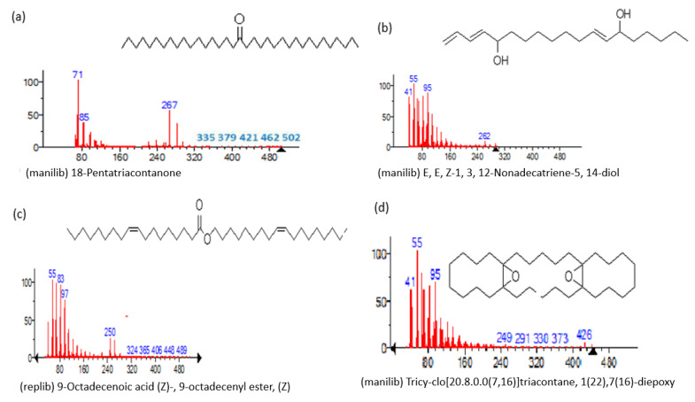 Figure 5