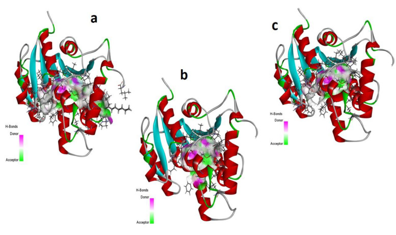 Figure 10