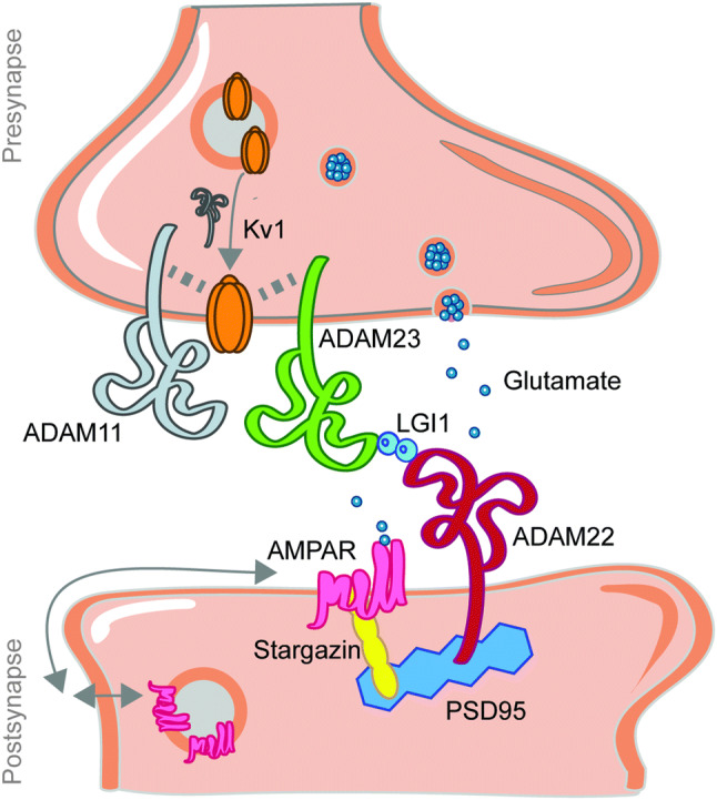 Fig. 3