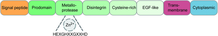 Fig. 1