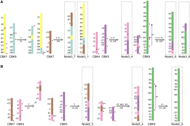 Figure 4