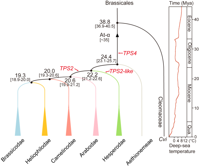 Figure 6