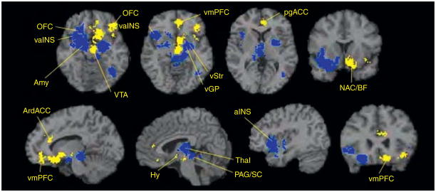 Figure 4.8