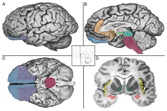 Figure 4.1