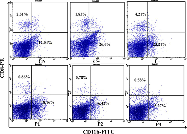 Figure 1