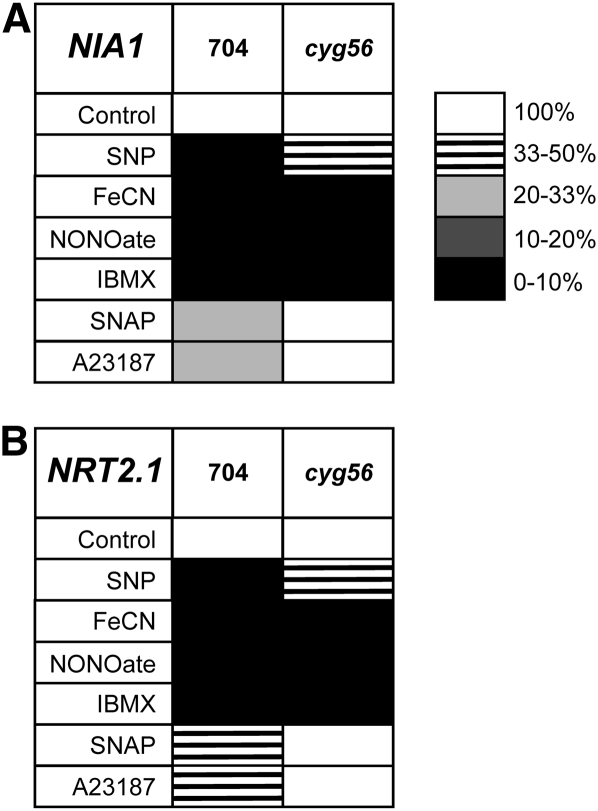 Figure 10.