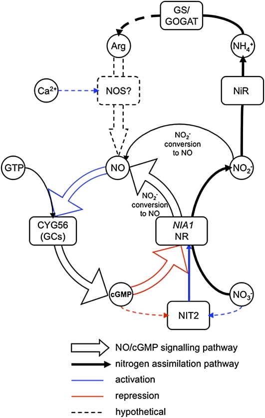 Figure 12.