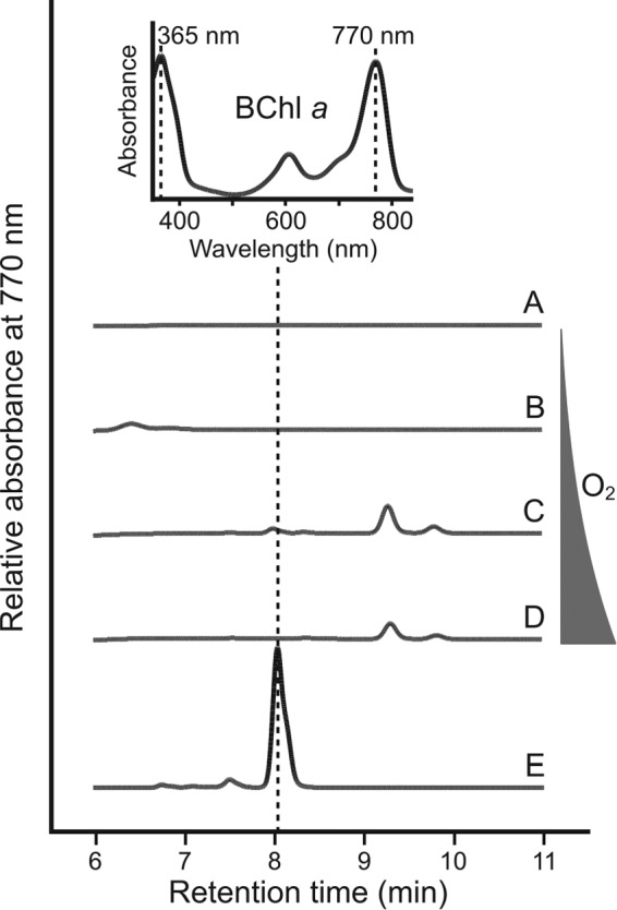 FIG 3