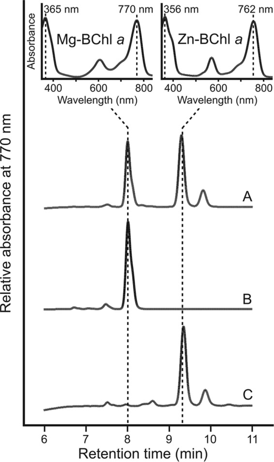 FIG 6