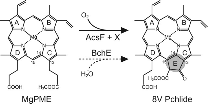 FIG 1