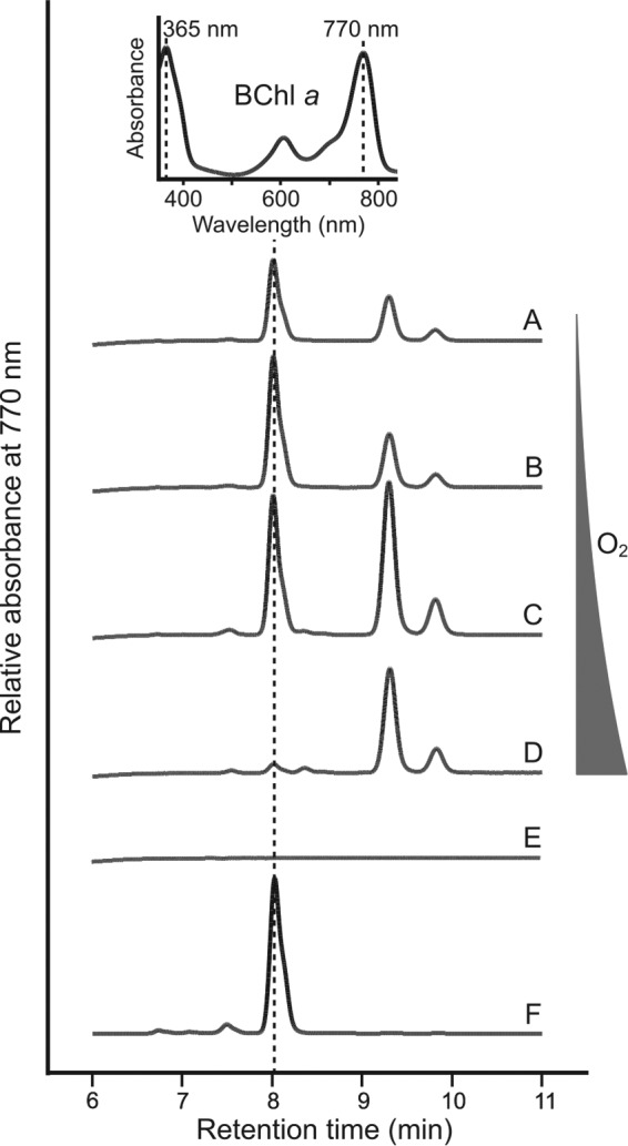 FIG 5