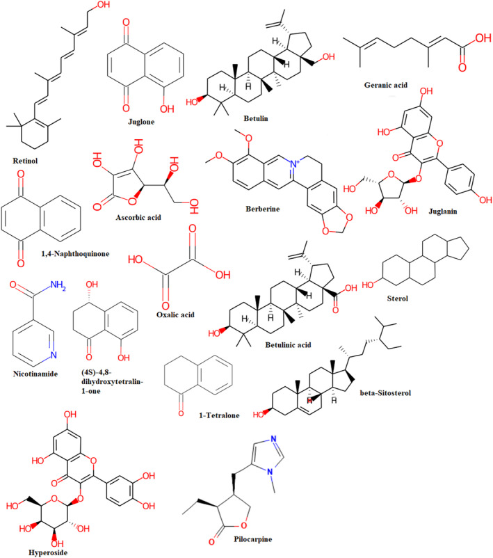 FIGURE 1