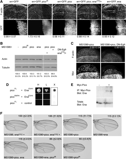 Figure 6