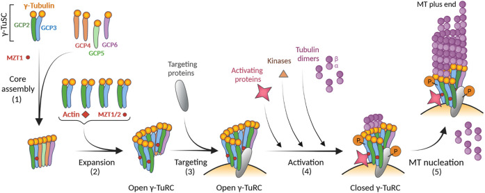 FIGURE 3