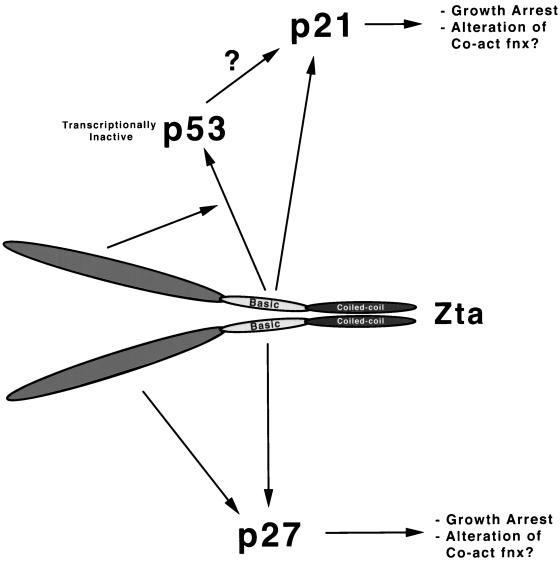 FIG. 5