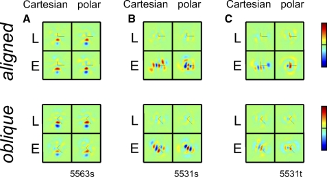 Fig. 11.