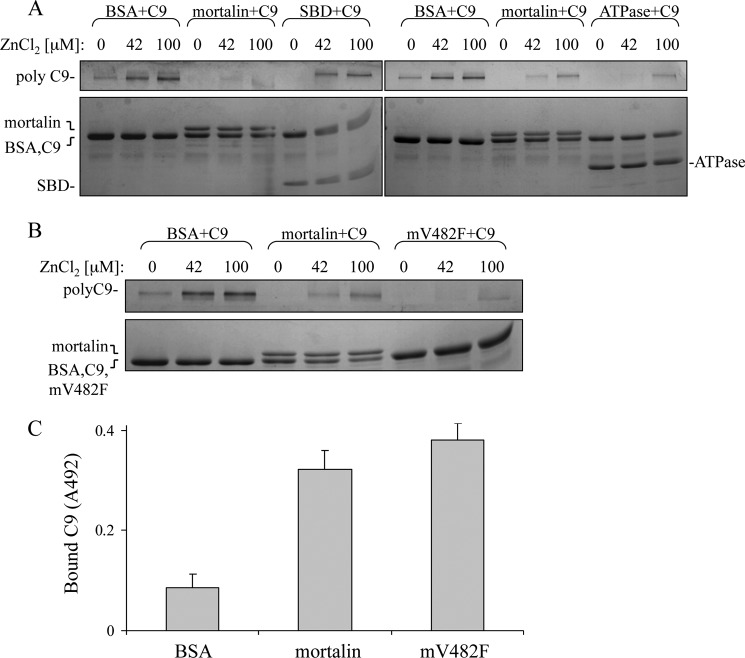 FIGURE 7.