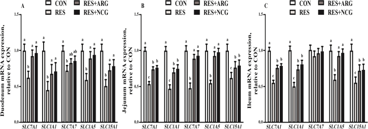 Fig. 2