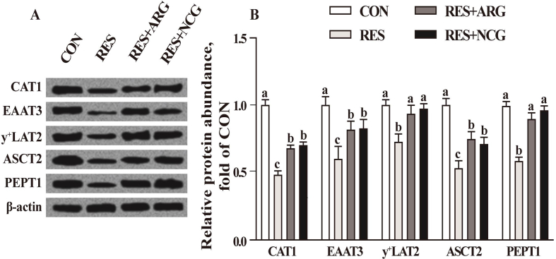 Fig. 3