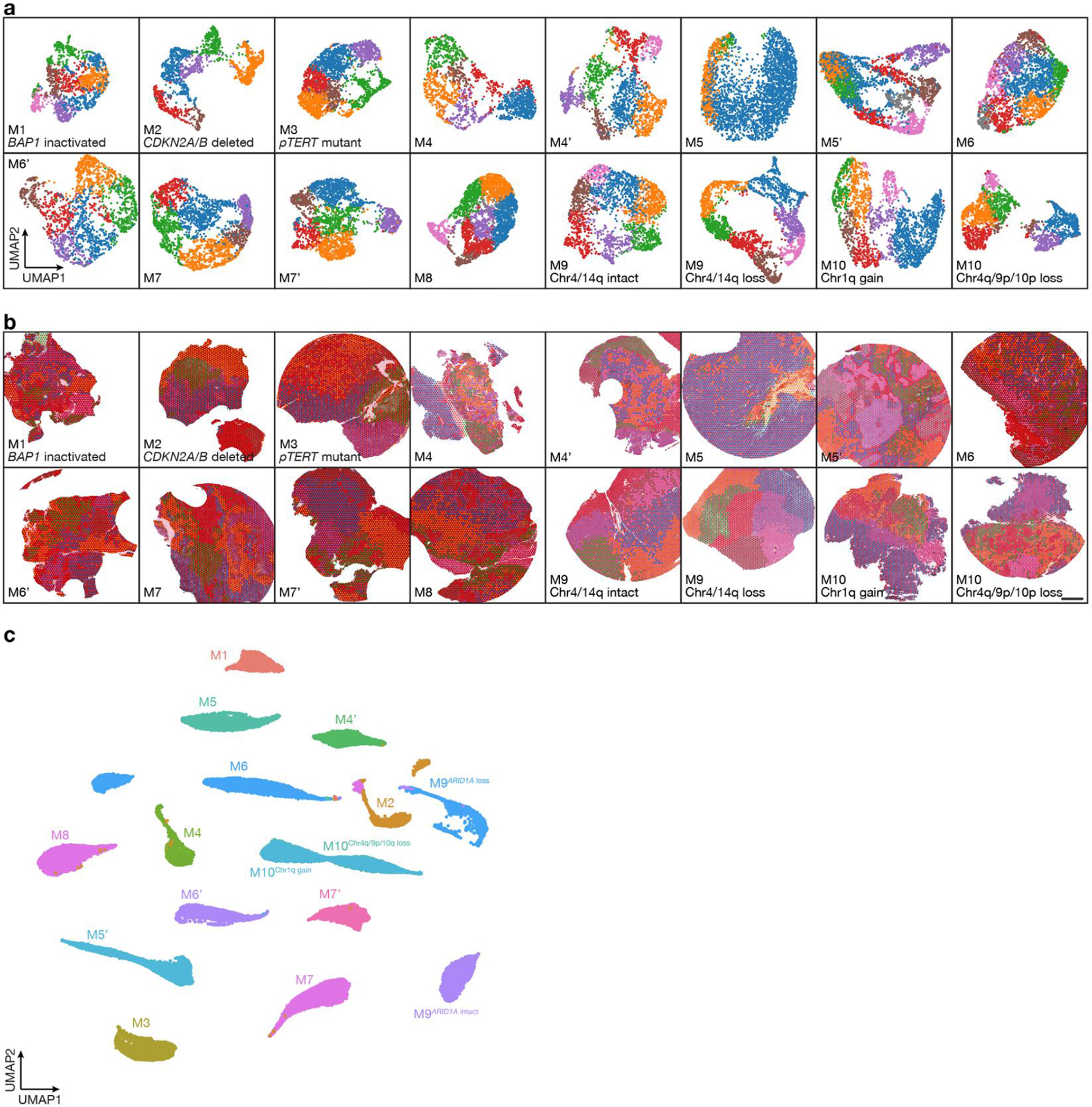 Extended Data Fig. 1.