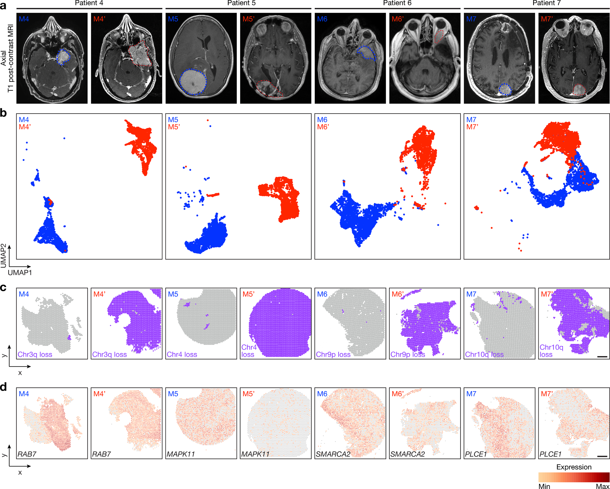 Fig 3.